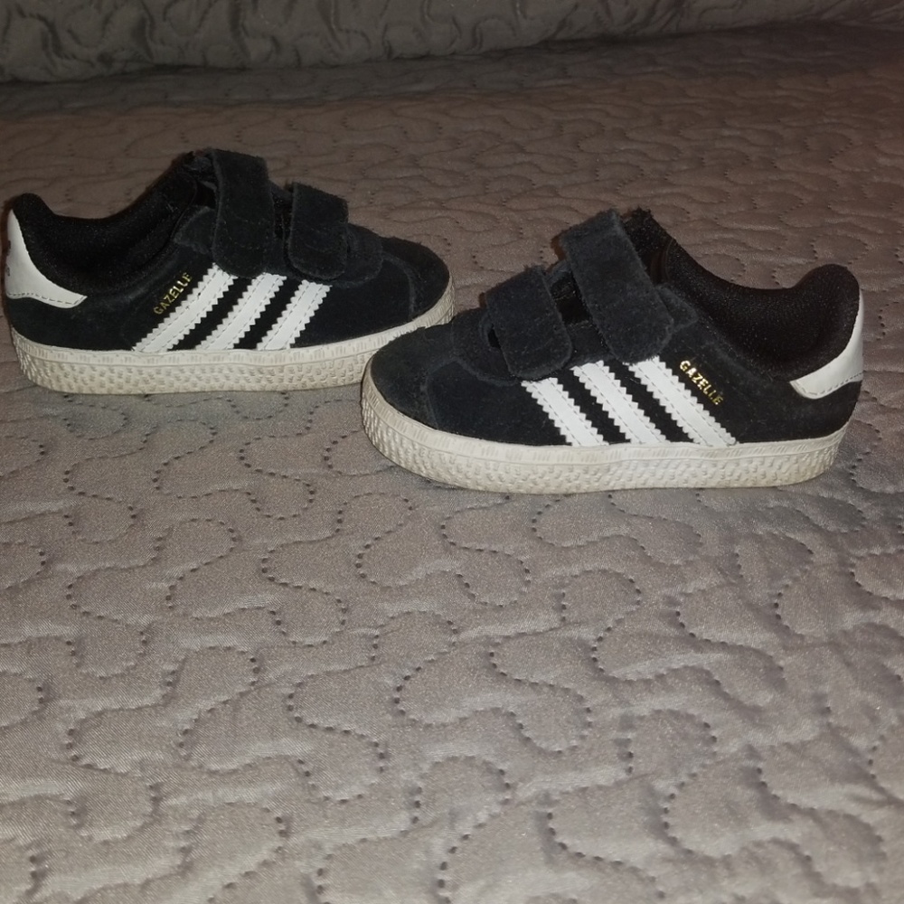 Gazelles - Picture 2 of 4